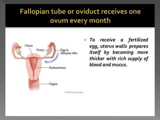 how do organisms reproduce