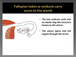 how do organisms reproduce