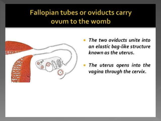 how do organisms reproduce