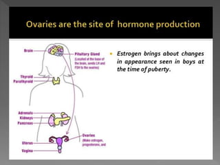 how do organisms reproduce