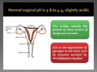 how do organisms reproduce