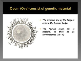 how do organisms reproduce