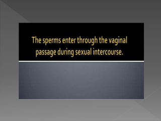 how do organisms reproduce