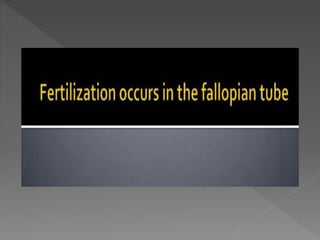 how do organisms reproduce