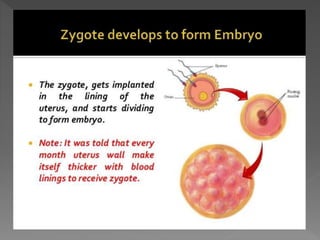 how do organisms reproduce