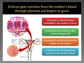 how do organisms reproduce