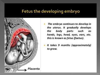 how do organisms reproduce