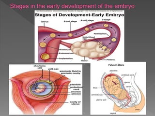 how do organisms reproduce