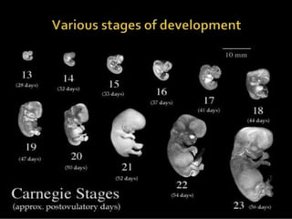how do organisms reproduce