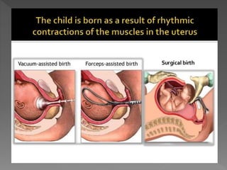 how do organisms reproduce