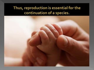 how do organisms reproduce