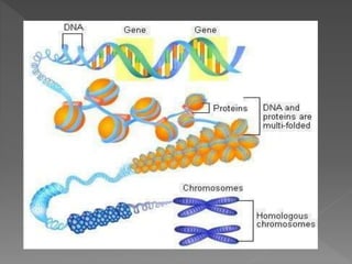 how do organisms reproduce
