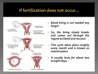 how do organisms reproduce