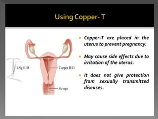 how do organisms reproduce