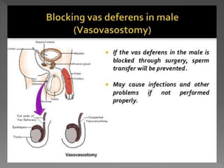 how do organisms reproduce