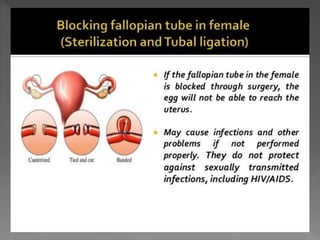 how do organisms reproduce