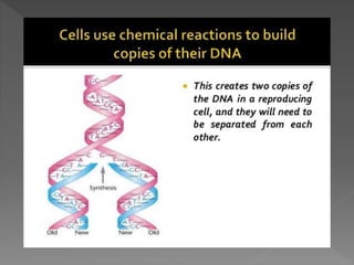 how do organisms reproduce