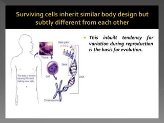 how do organisms reproduce