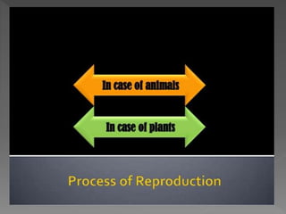 how do organisms reproduce