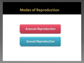 how do organisms reproduce