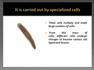 how do organisms reproduce