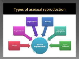 how do organisms reproduce