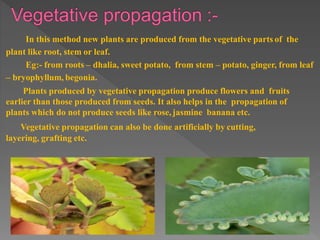 how do organisms reproduce