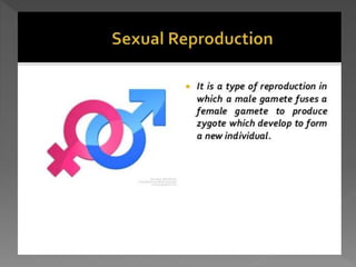 how do organisms reproduce