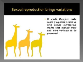 how do organisms reproduce