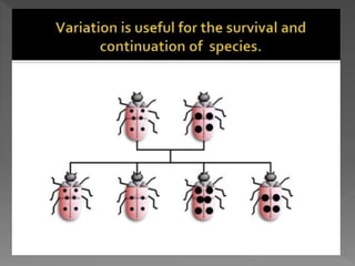 how do organisms reproduce