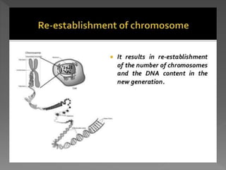 how do organisms reproduce