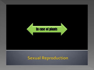 how do organisms reproduce