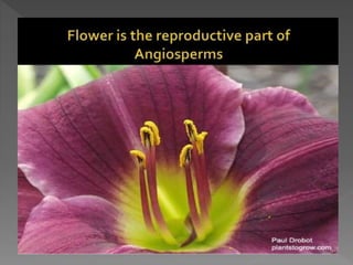 how do organisms reproduce