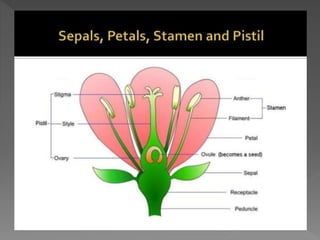 how do organisms reproduce
