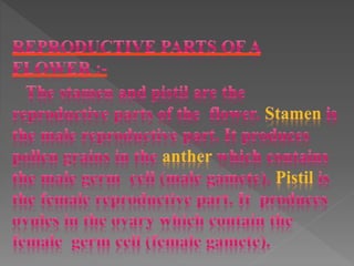 how do organisms reproduce