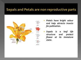 how do organisms reproduce