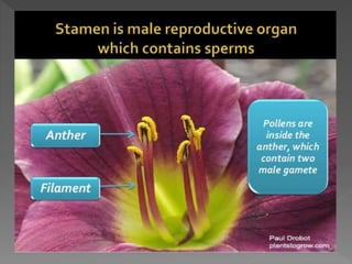 how do organisms reproduce