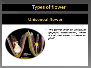how do organisms reproduce
