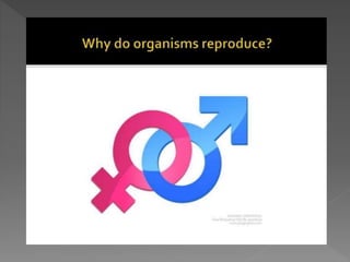 how do organisms reproduce