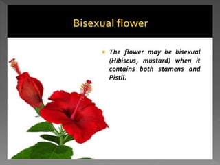 how do organisms reproduce