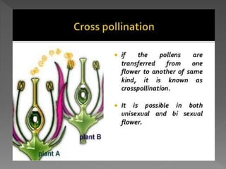 how do organisms reproduce