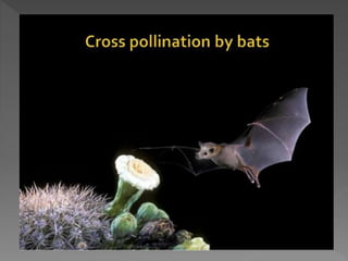 how do organisms reproduce