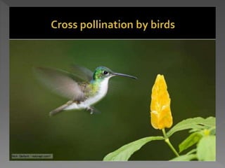 how do organisms reproduce