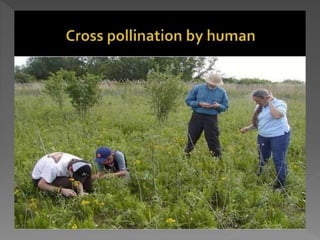 how do organisms reproduce