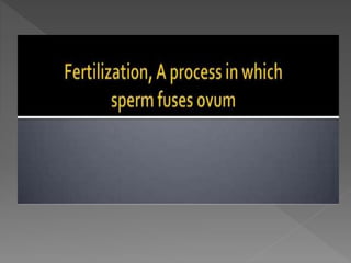 how do organisms reproduce