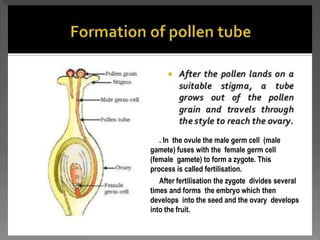 how do organisms reproduce