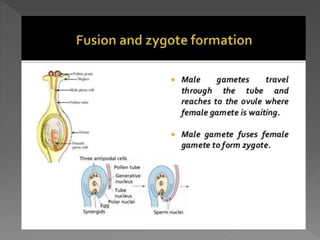how do organisms reproduce