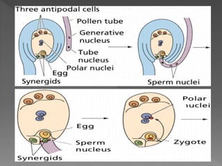 how do organisms reproduce