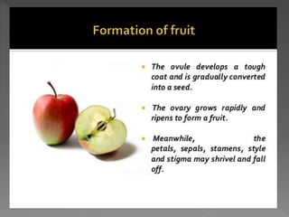 how do organisms reproduce