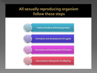 how do organisms reproduce